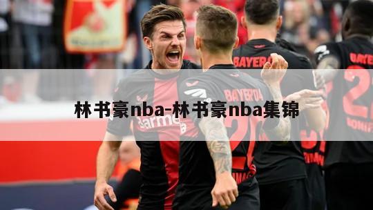 林书豪nba-林书豪nba集锦