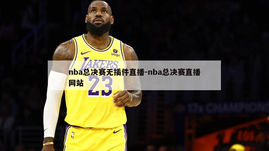 nba总决赛无插件直播-nba总决赛直播网站