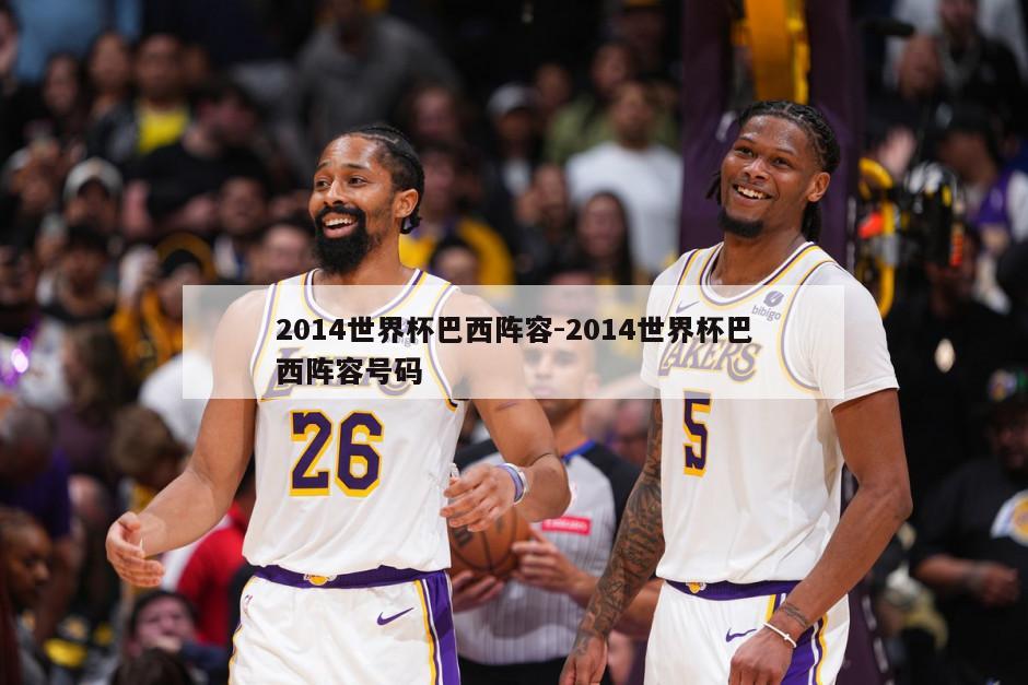 2014世界杯巴西阵容-2014世界杯巴西阵容号码